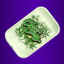 Combo Bandeja Organic Green