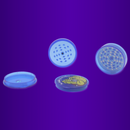 Dichavador The Bulldog Amsterdam 4 Partes